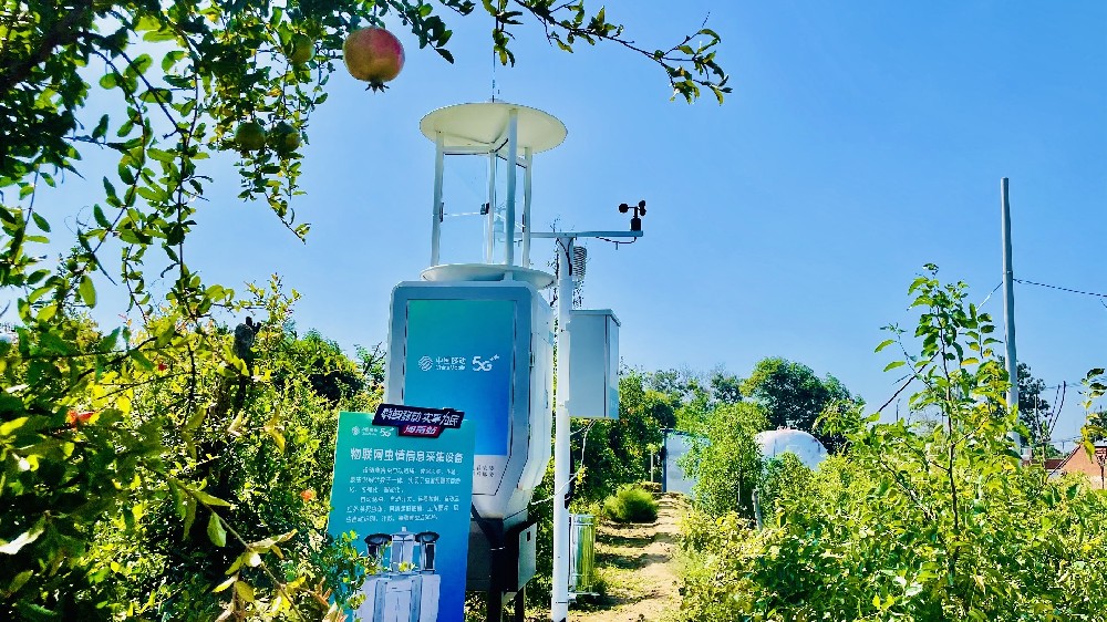 中國移動5G+智慧果園 種石榴有了“新科技”